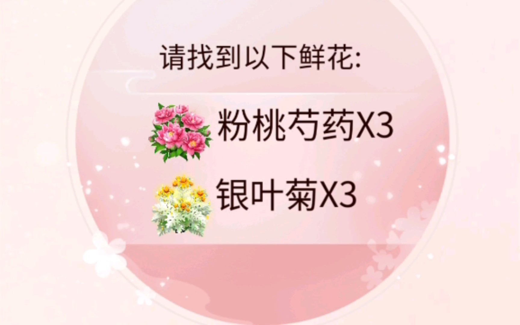 秘密花园之寻花觅影(粉桃芍药,银叶菊)