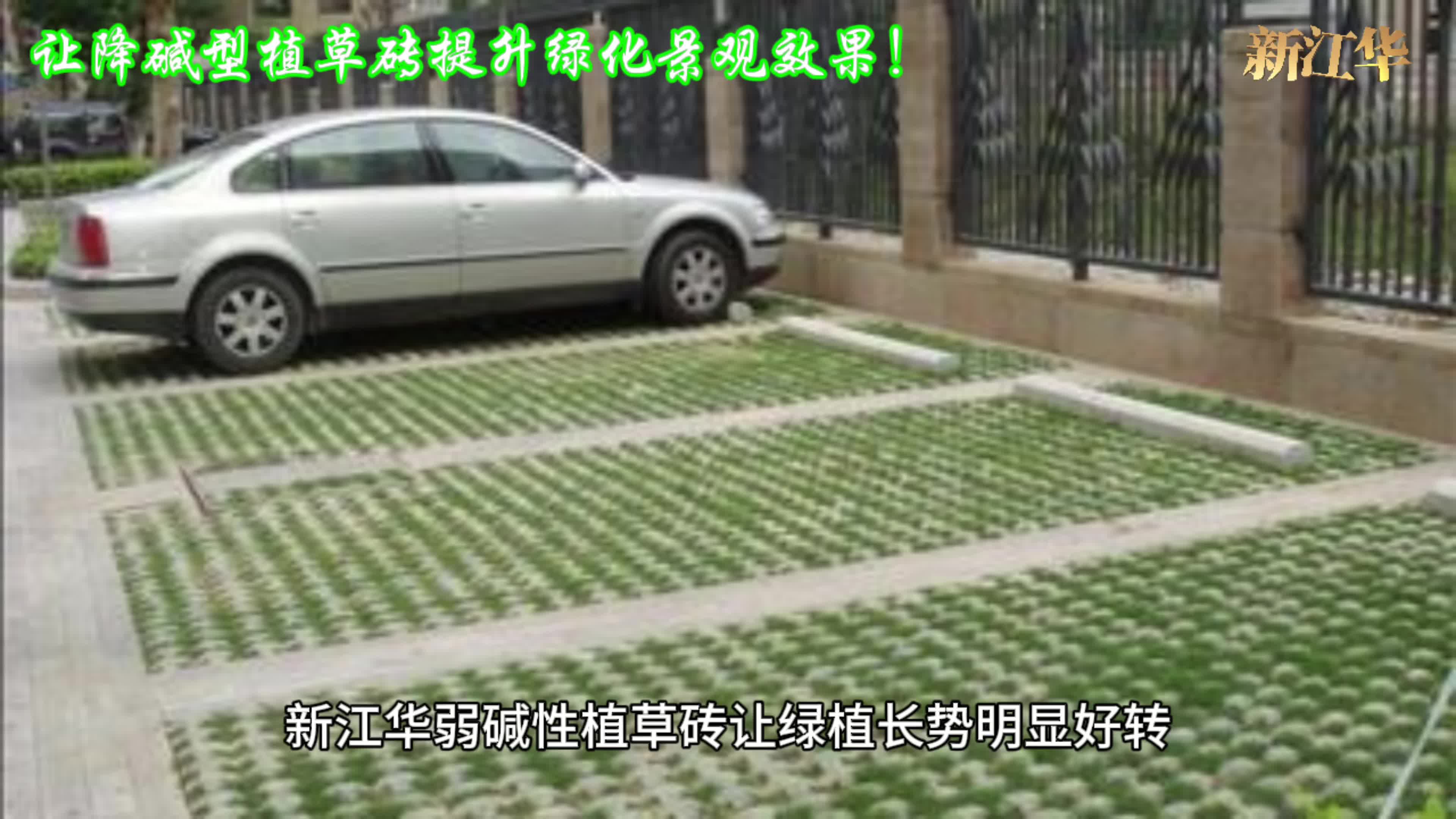 护坡绿化效果难于维护?新江华降碱性植草砖源头工厂邀您交流.