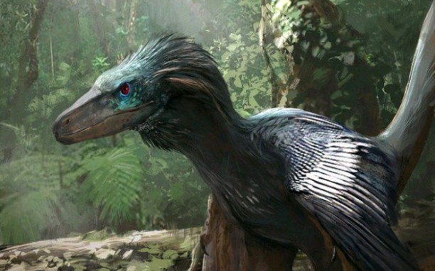 驰龙科美图_哔哩哔哩 (゜-゜)つロ 干杯~-bilibili