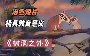 Download Video: 治愈短片《树洞之外》，极具教育意义！一定要耐心看完。