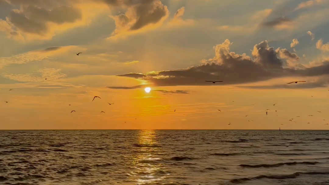 比起日出,我更喜欢看日落时分的海边,夕阳沐浴着大海,你看,那夕阳下