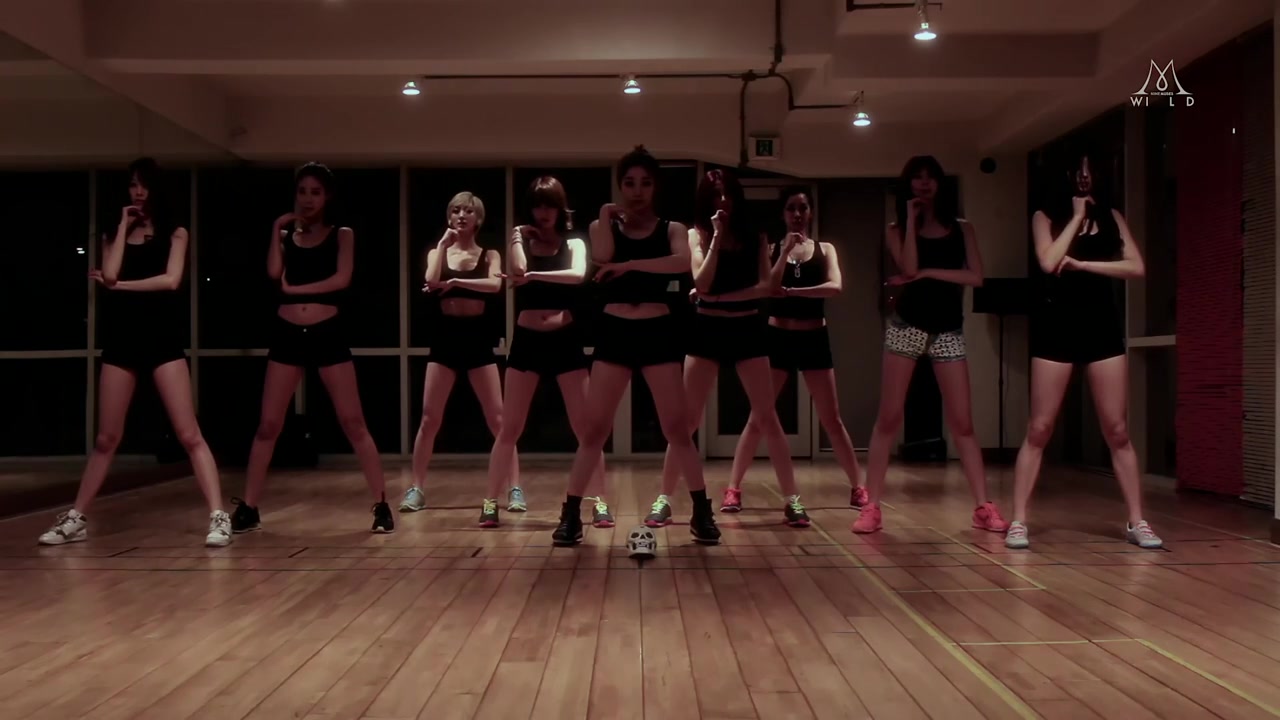 [图]Nine Muses - Wild 练习室版