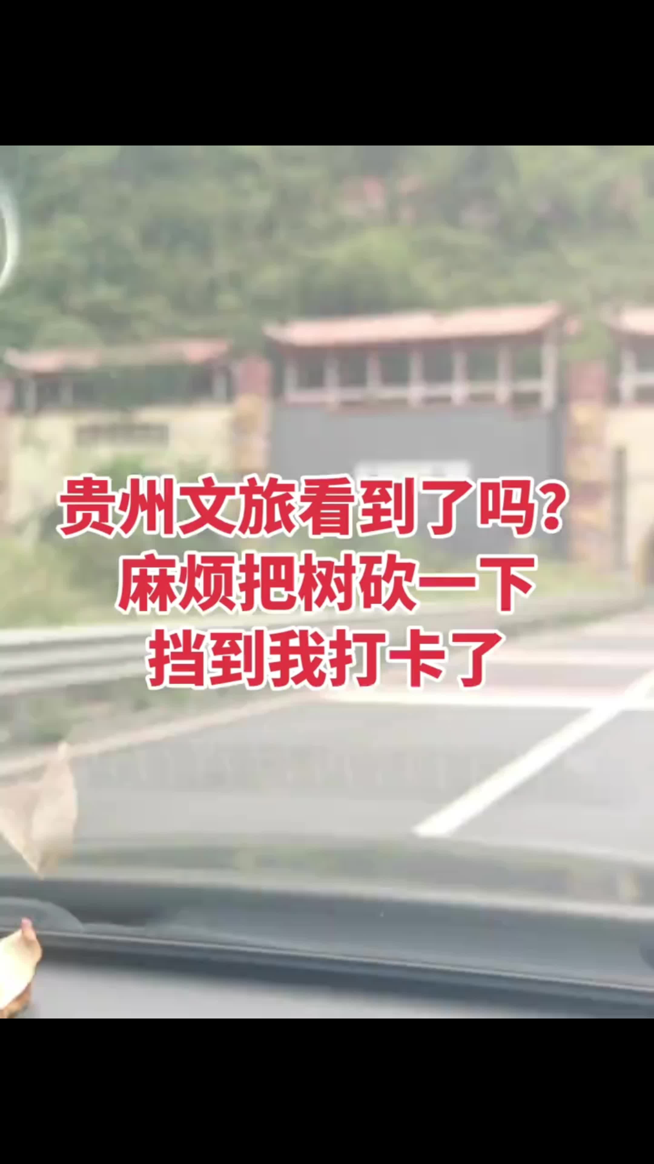 桐梓挡住宣传标语的树枝清理好了