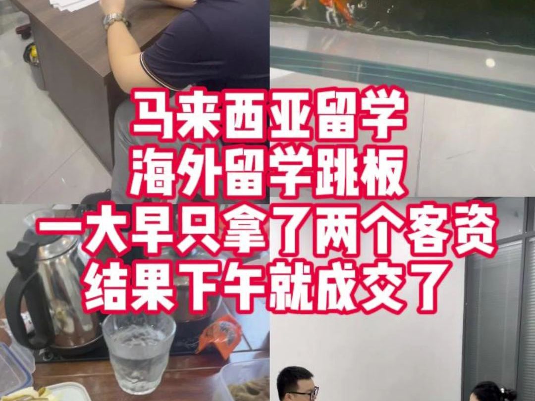 马来西亚留学,海外留学跳板 一大早只拿了两个客资,结果下午就成交了哔哩哔哩bilibili