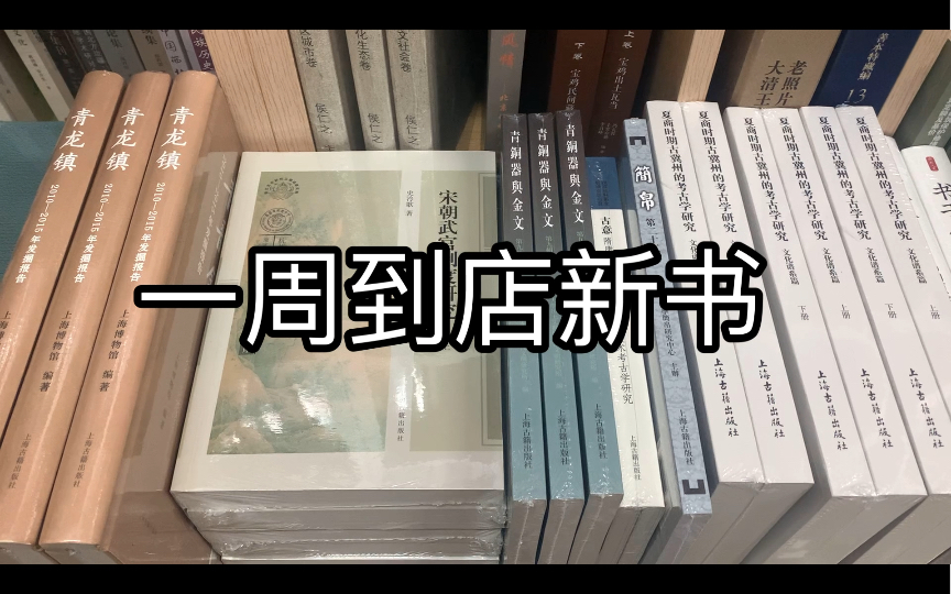 考古书店报书名系列:上海古籍 人民出版新书 石窟文化丛书 洛阳考古哔哩哔哩bilibili