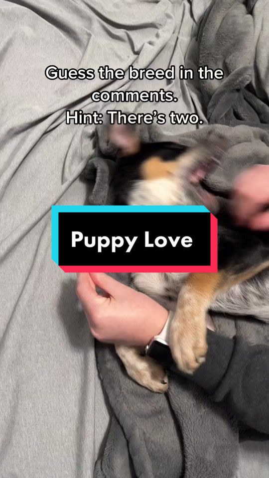 不是我平常的内容,但她太可爱了,不能发帖!