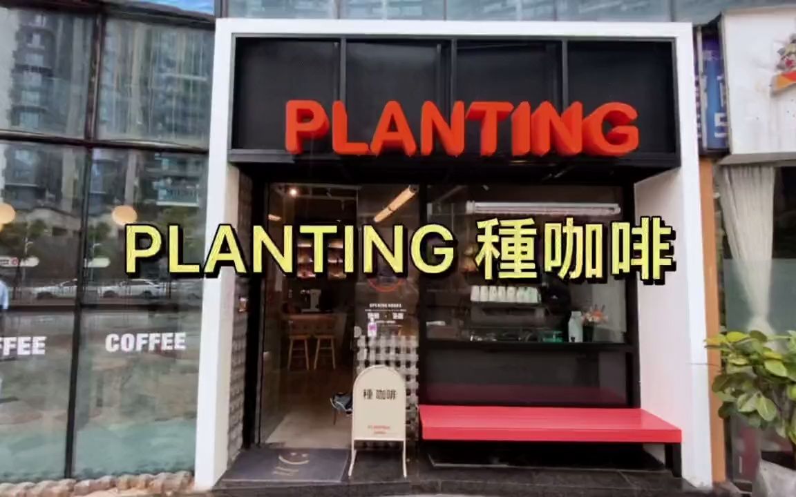 PLANTING 种咖啡哔哩哔哩bilibili