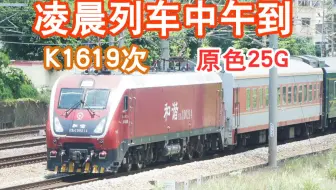 你见过晚点8小时的列车居然这么慢进站吗！！！【深铁Fox】K1619次天津-深圳东