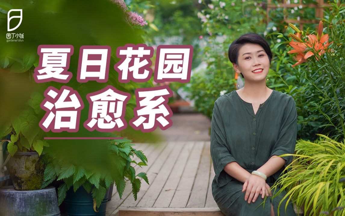 活动  【园丁小饭】夏日花园治愈系,谁能拒绝橙色百合呢?