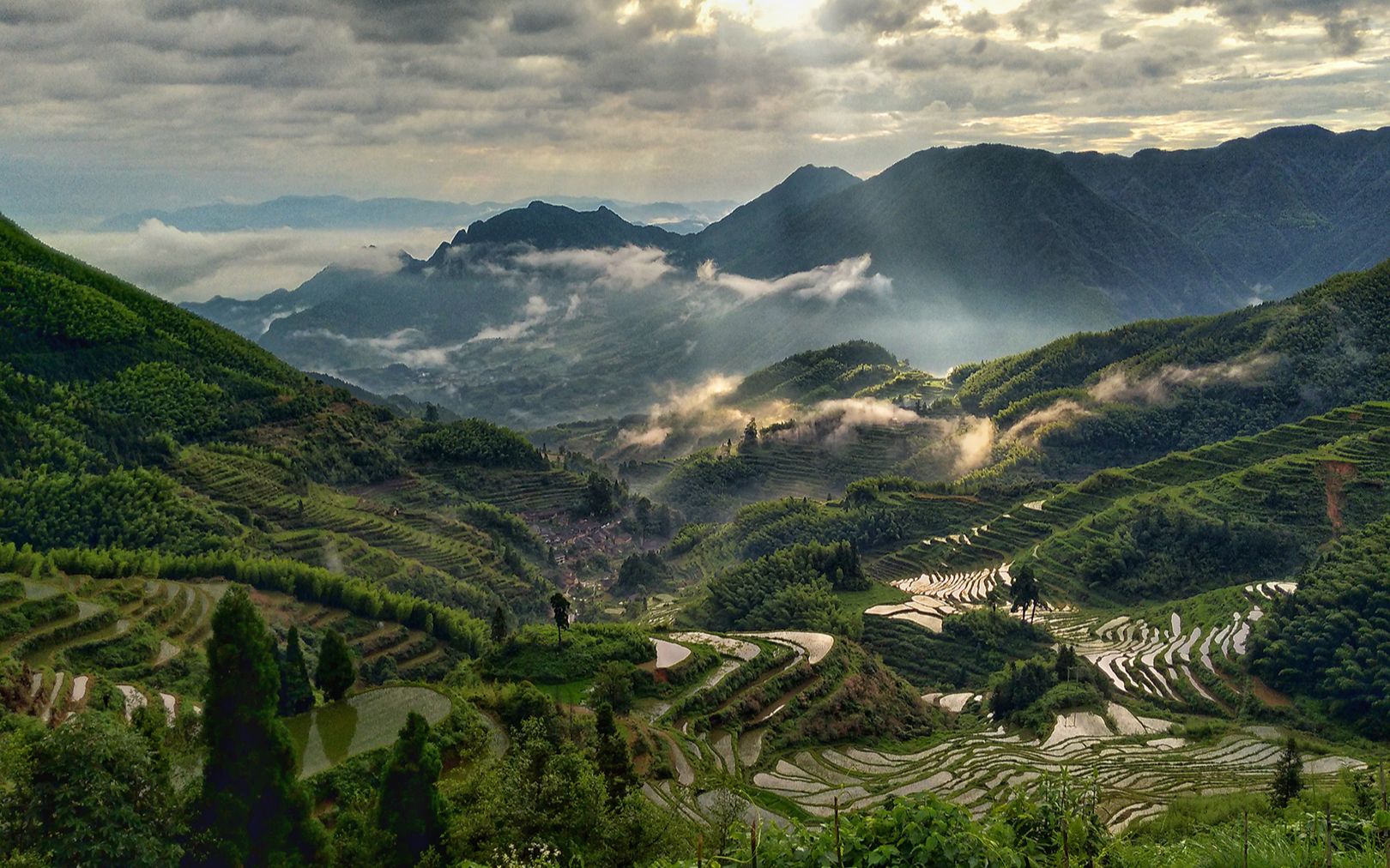 [图]中国醉美的云和梯田之美丽春景