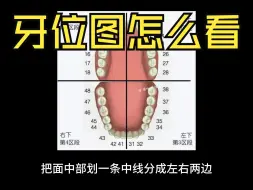 Download Video: 牙位图怎么看，如何用数字表示具体某颗牙齿？