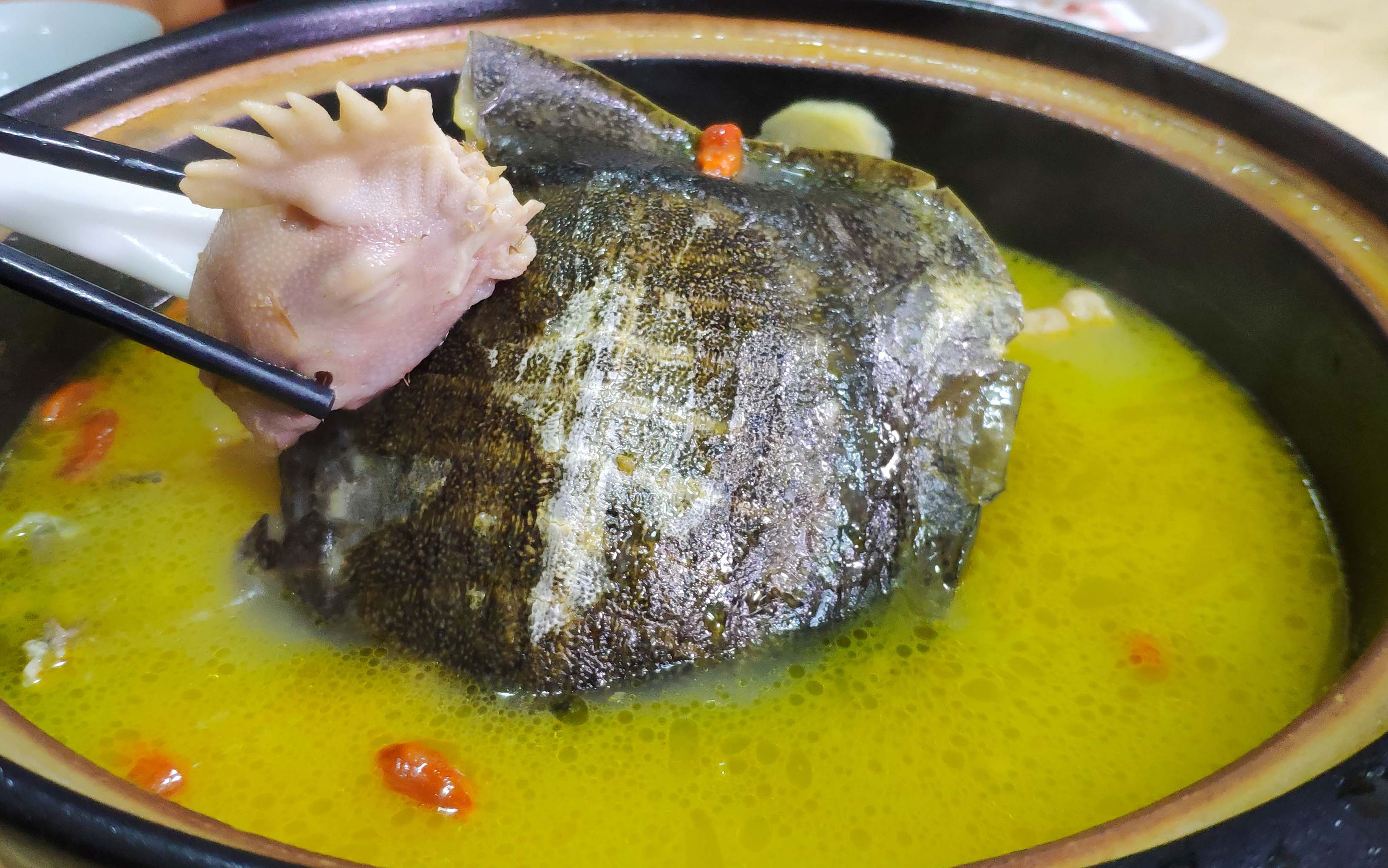 1只甲鱼1只小母鸡,老刘做安徽名菜霸王别姬,营养滋补全家都爱!