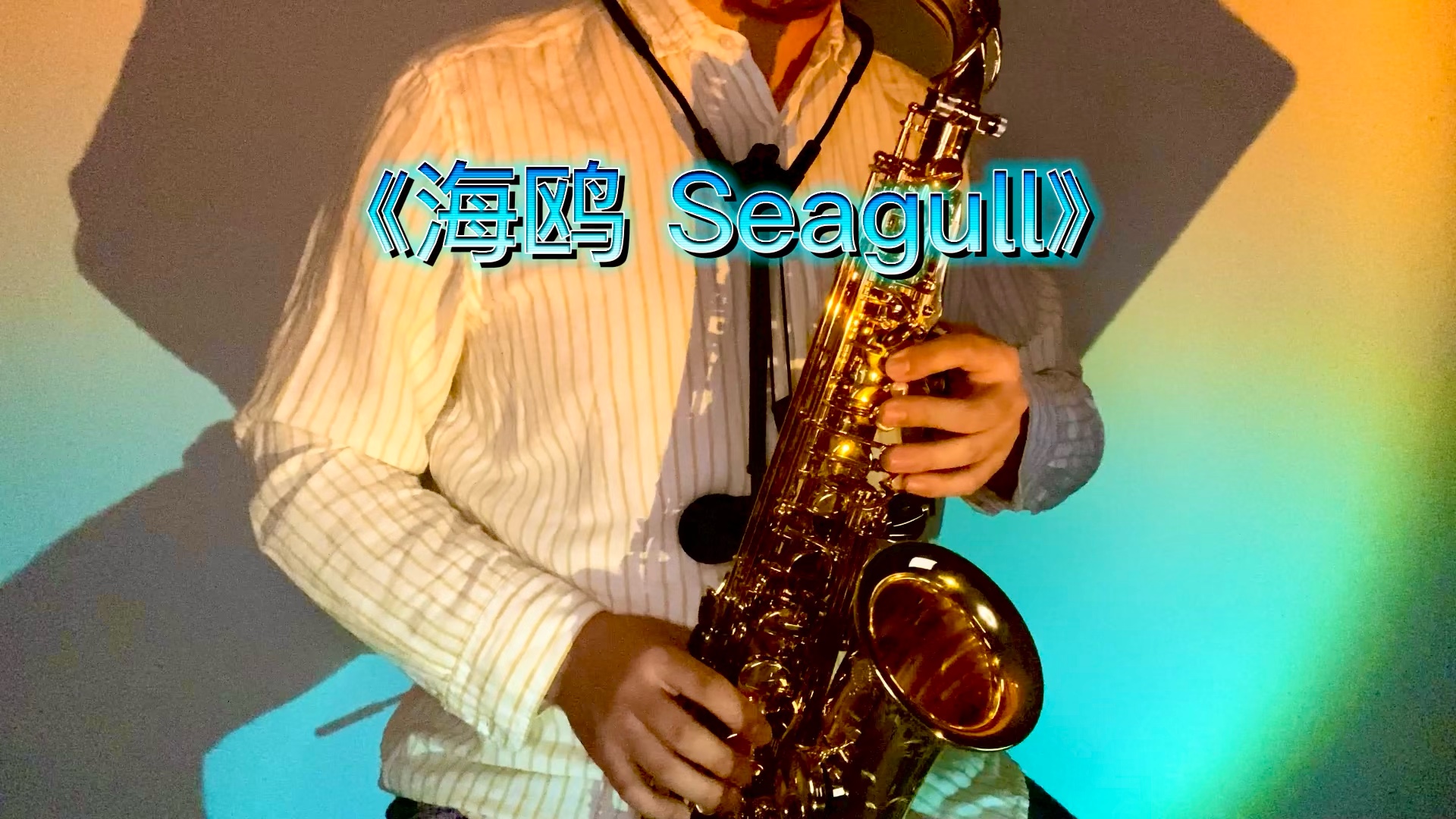 海鸥 Seagull哔哩哔哩bilibili