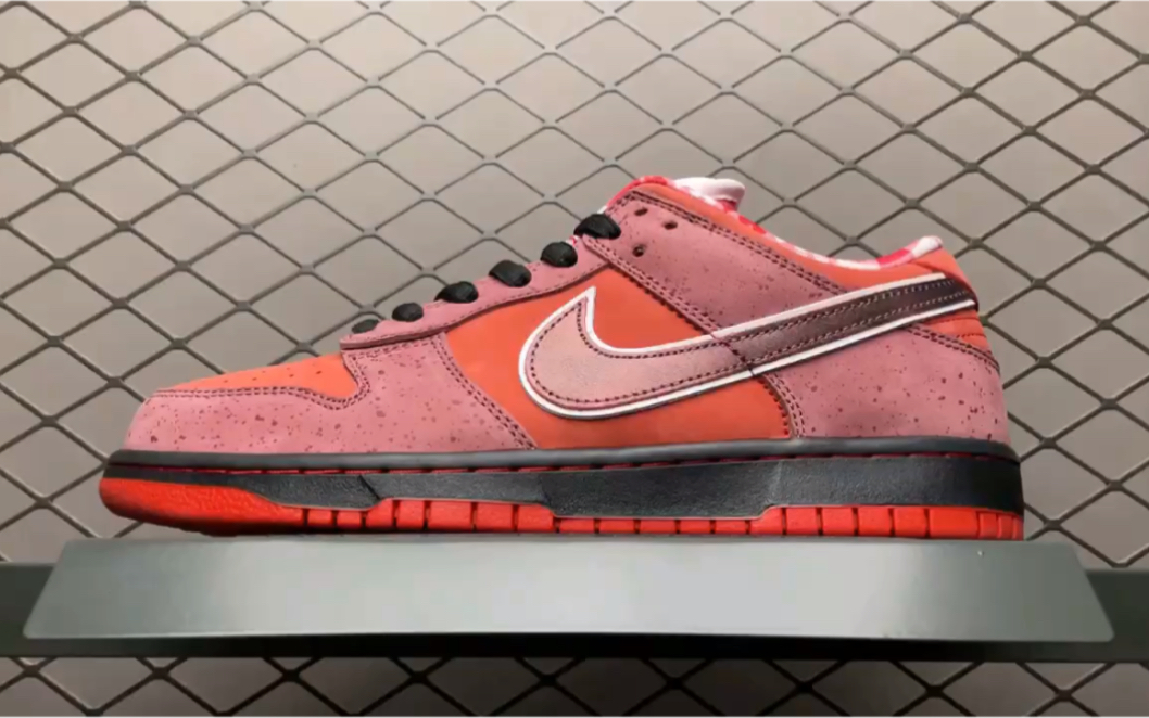 测评nk dunk low  " red lobster" 砖红 红龙虾