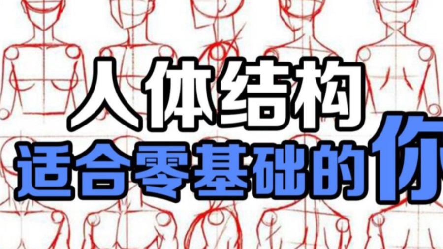 【【新人入坑必学】基础人体结构,萌新如何练习人体,(完整合集)!!!哔哩哔哩bilibili