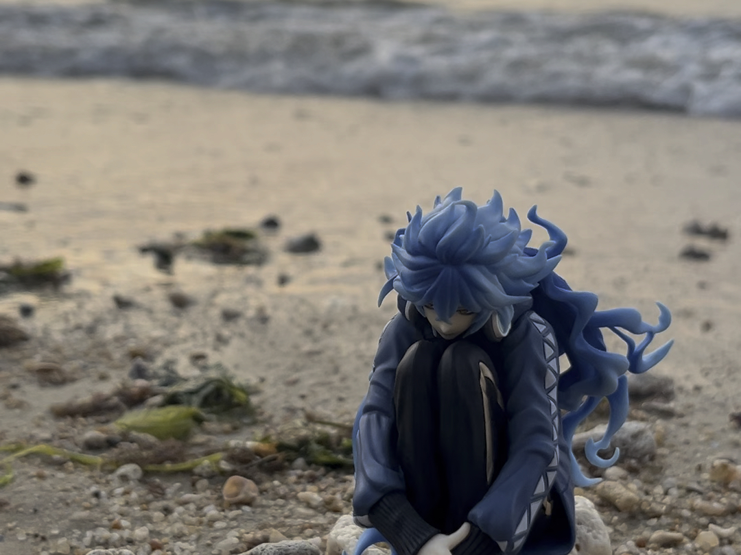 海边的idia shroud