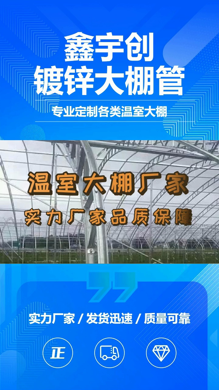温室大棚制作,抗风防雨、坚固耐用、保温隔热 #养殖大棚 #养殖大棚批发 #养殖大棚厂哔哩哔哩bilibili