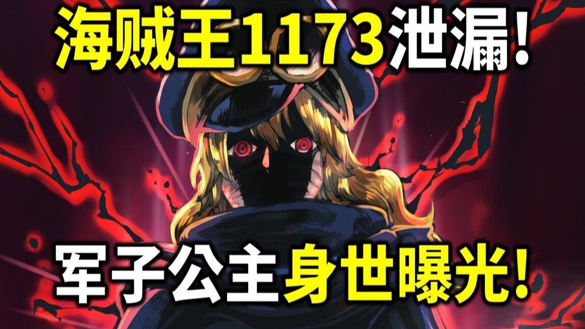海贼王1173泄漏！炸裂剧情！布鲁克VS伊姆！军子就是公主！布鲁克曾是他的护卫！索隆策画成功！-迪迪花花-迪迪花花-哔哩哔哩视频
