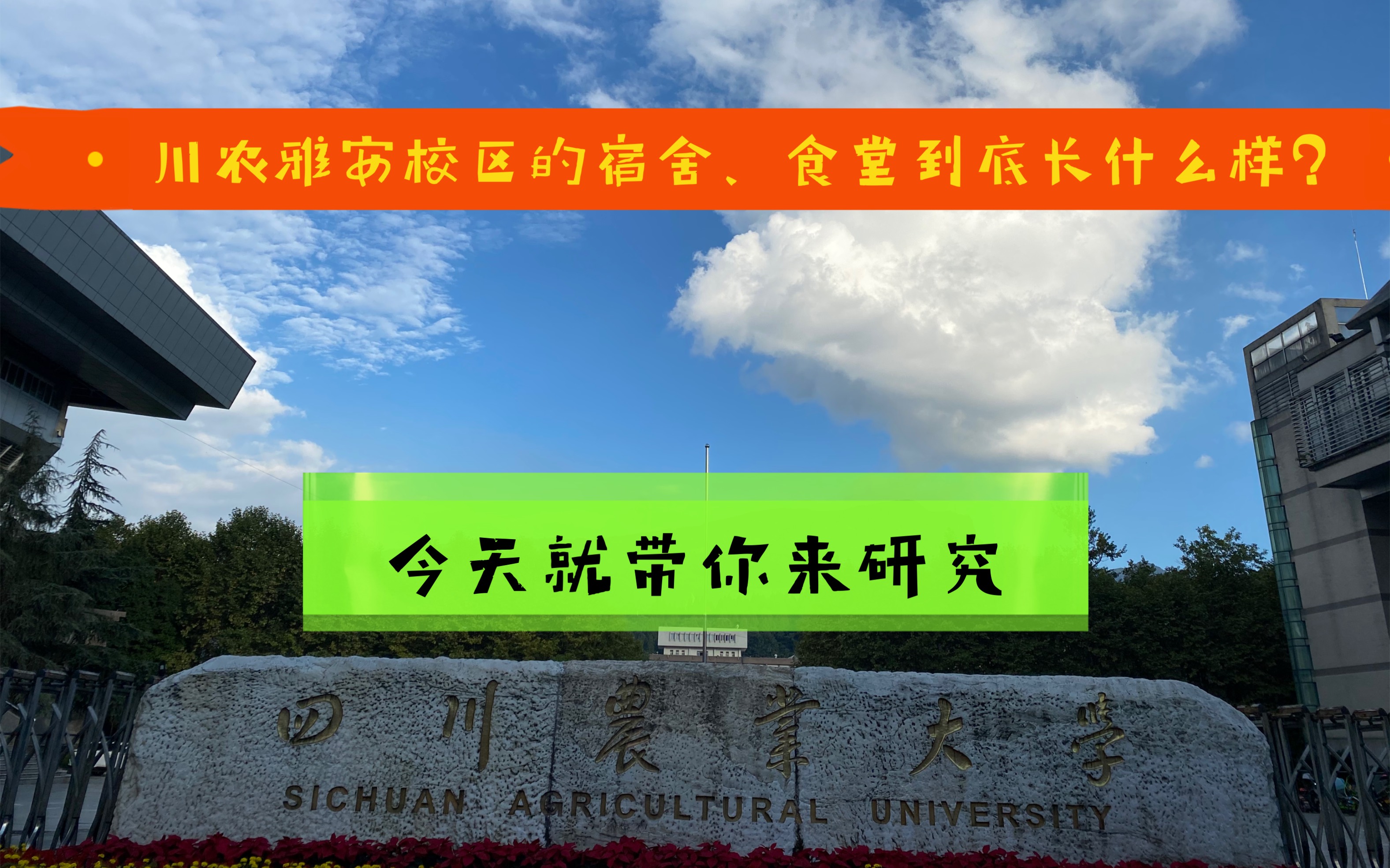 《四川农业大学》雅安校区,食堂和宿舍到底长啥样?来看一下哔哩哔哩bilibili