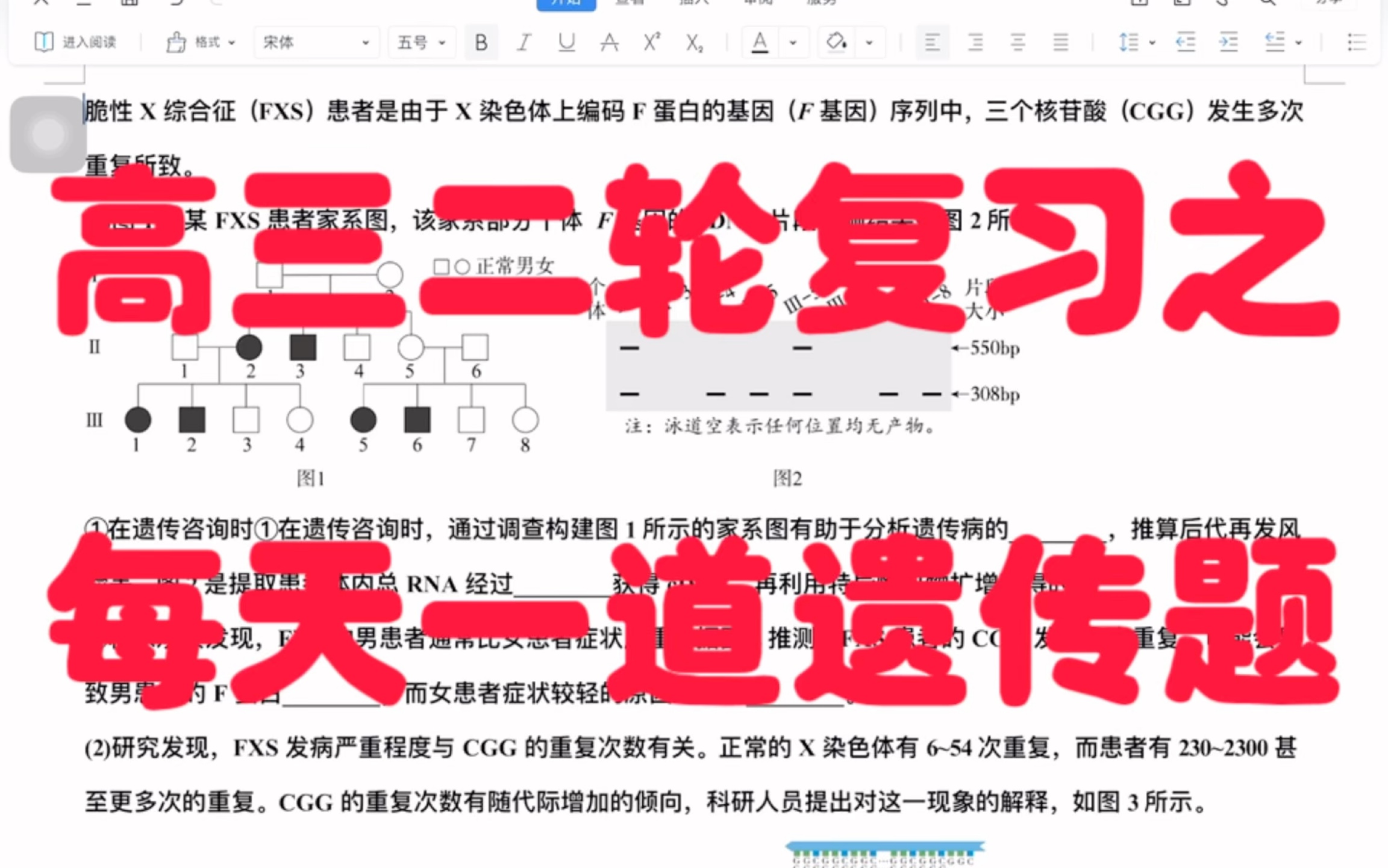 2023年高三二轮复习之每天一道遗传题,突破遗传题目得生物高考高分哔哩哔哩bilibili