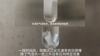 Video herunterladen: 【深度剖析】铝酸反应（上）——氯离子对铝酸反应具有催化作用