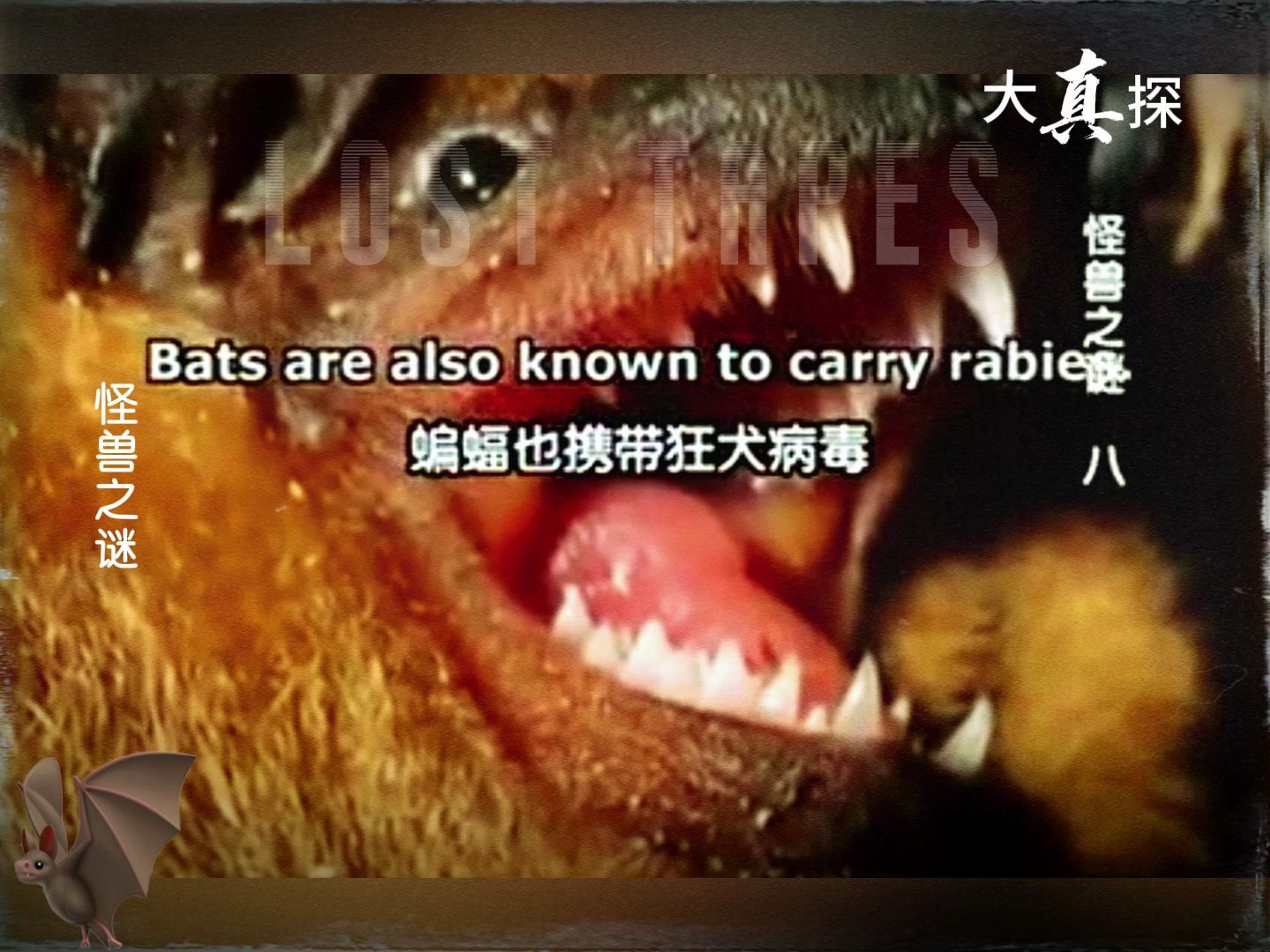 【大真探之怪兽之谜】洞穴魔兽,体型超大的蝙蝠09