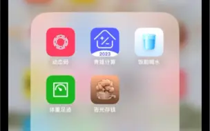 Download Video: 苹果五款伪装应用上架