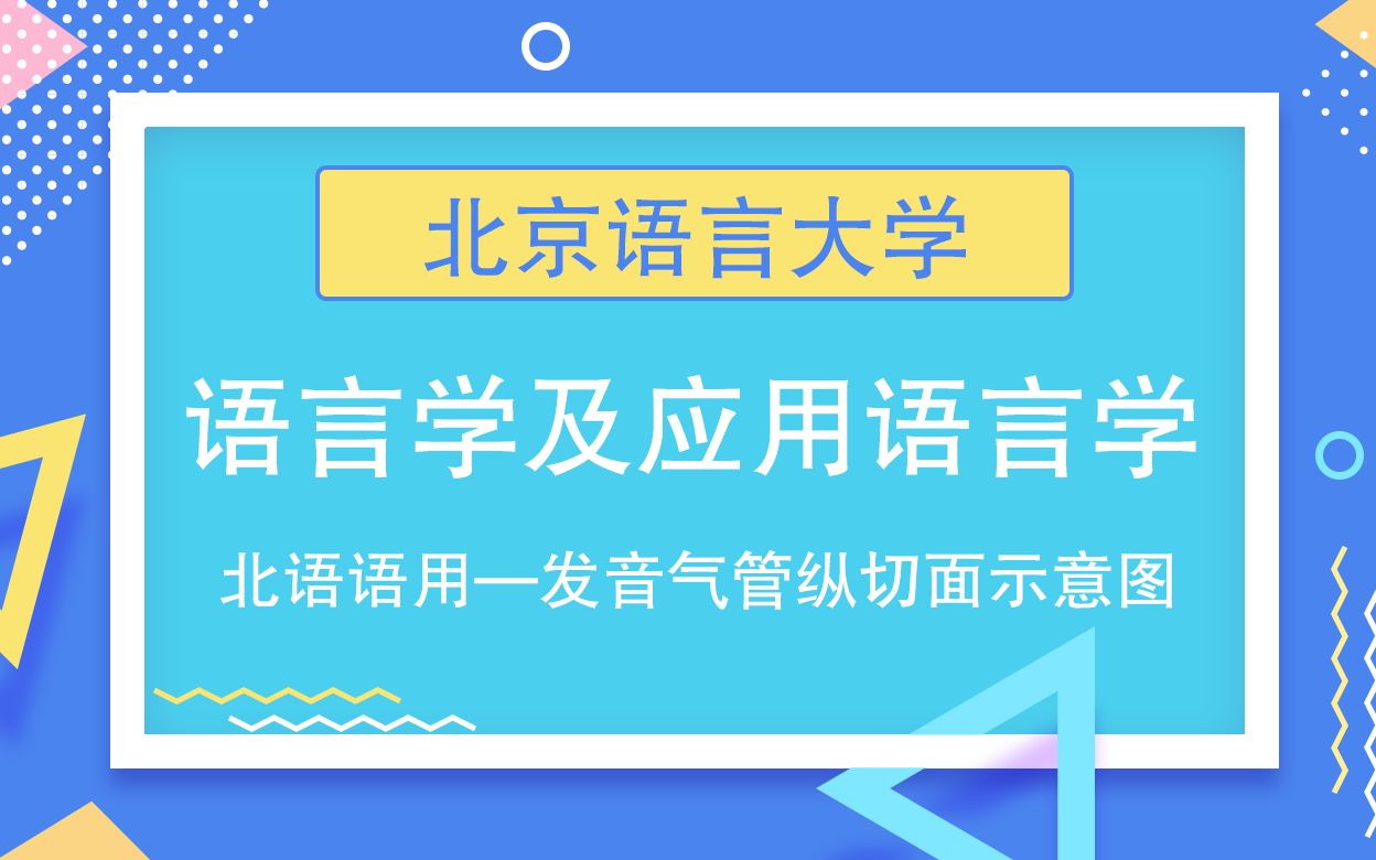 [图]【每周一讲】北语语用：发音器官纵切面示意图