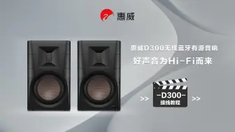 Descargar video: 好声音为Hi-Fi而来惠威D300