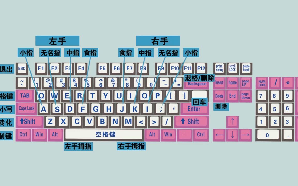 电脑初学者认识键盘和键盘正确打字方法哔哩哔哩bilibili