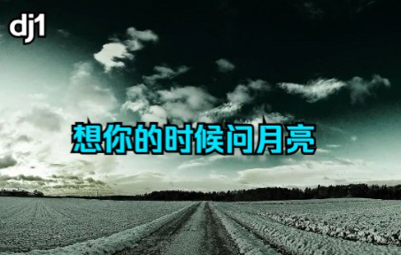 dj1想你的时候问月亮哔哩哔哩bilibili