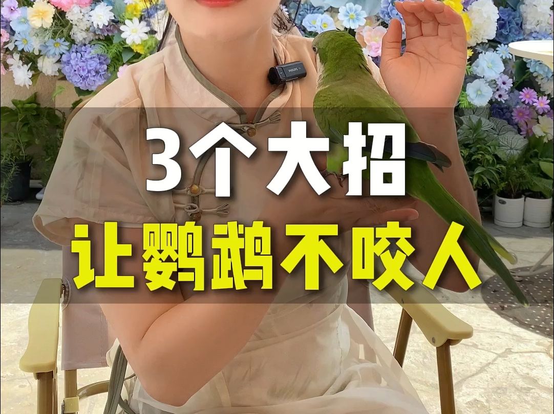 你家的鹦鹉经常咬你吗?3招教你轻松解决鹦鹉咬人的问题