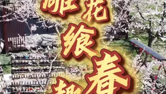 《雕花飨春趣》