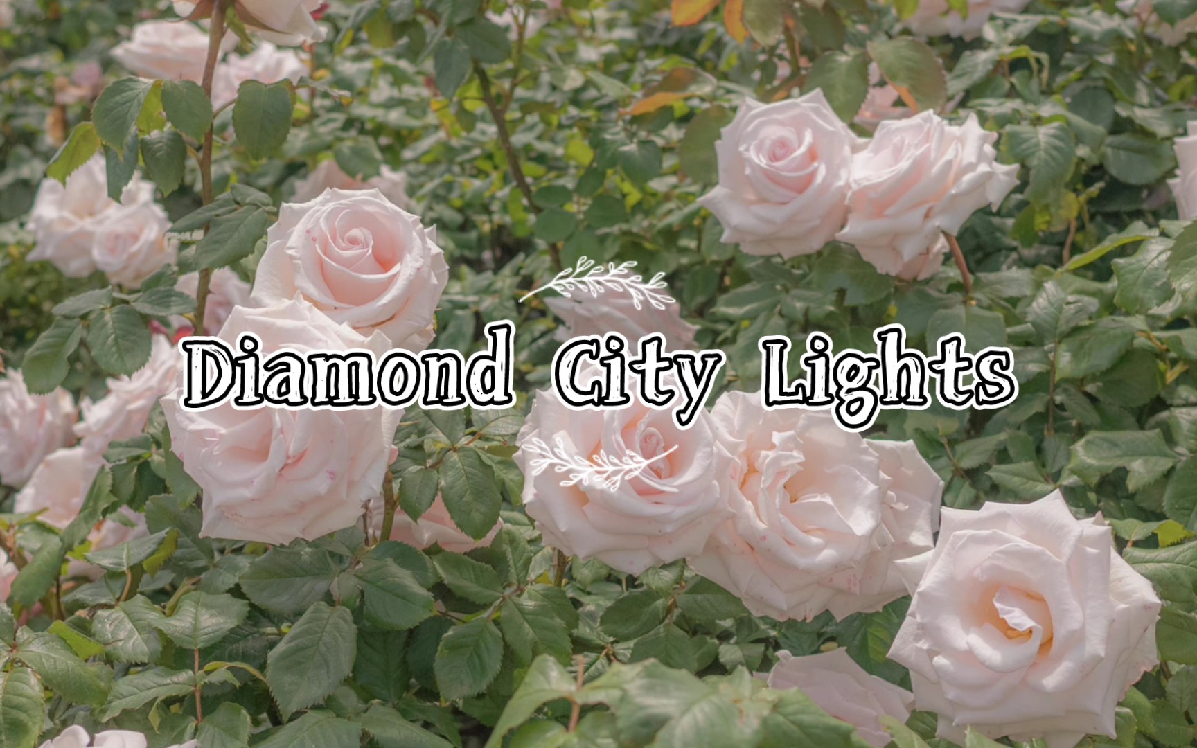 纯生唱断气版《diamond city lights》哔哩哔哩bilibili