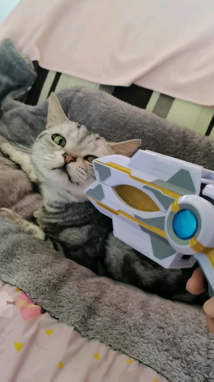 笑一笑好不好啊,斯麦路斯麦路