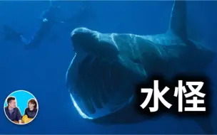 Download Video: 【老高&小茉高清】最有名的水中神秘生物（日期：2022-10-5）