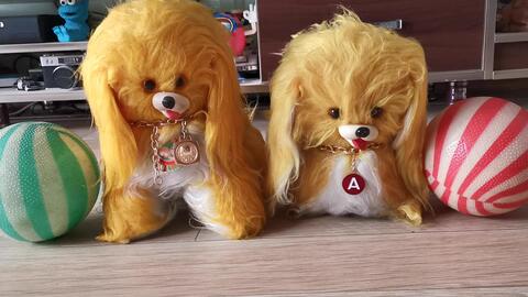 八十年代经典怀旧玩具狗瞬间回到童年你跟它合过影吗 哔哩哔哩