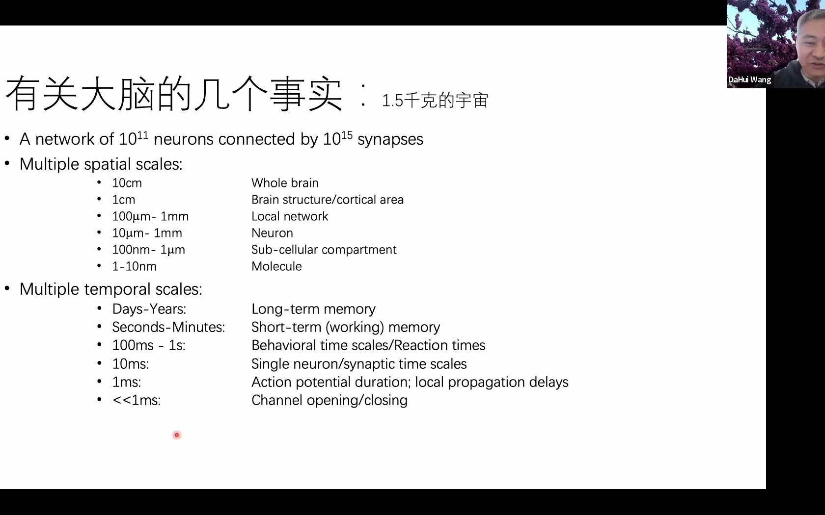 天元数学中部中心计算神经科学系列报告(20210401)王大辉 教授 | 北京师范大学哔哩哔哩bilibili