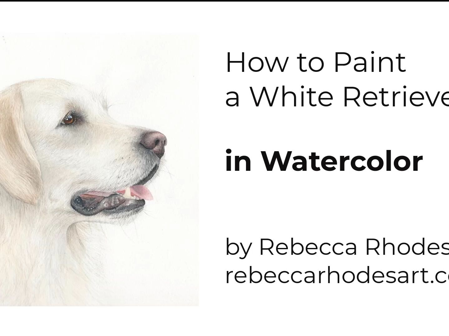 画一只逼真的白狗狗How to Paint a Realistic White Retriever Dog a Watercolor Tutorial哔哩哔哩bilibili