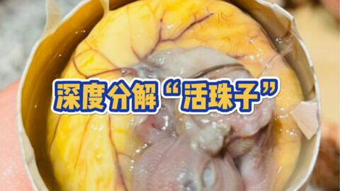 作死试吃鸡胚胎 活珠子vs毛蛋 感觉一万头细菌侵入体内 哔哩哔哩 Bilibili