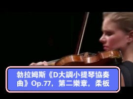 朱莉婭·菲舍爾 (julia fischer) 小提琴&弗朗兹·威爾瑟-莫斯特指揮