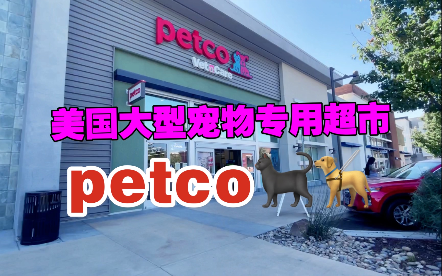 我是包子Vlog—跟包子妈来转转美国的大型宠物专用超市Petco吧(去给包子买罐头)哔哩哔哩bilibili