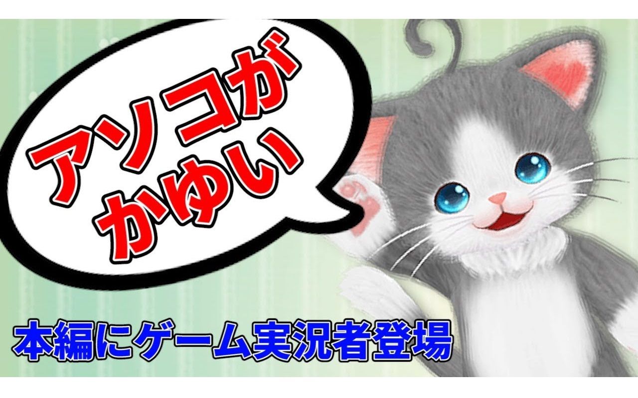 【kiyo】说出过激词汇后离家出走的猫猫【生肉】