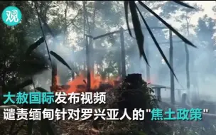 下载视频: 缅甸的罗兴亚人问题 让西方很操心