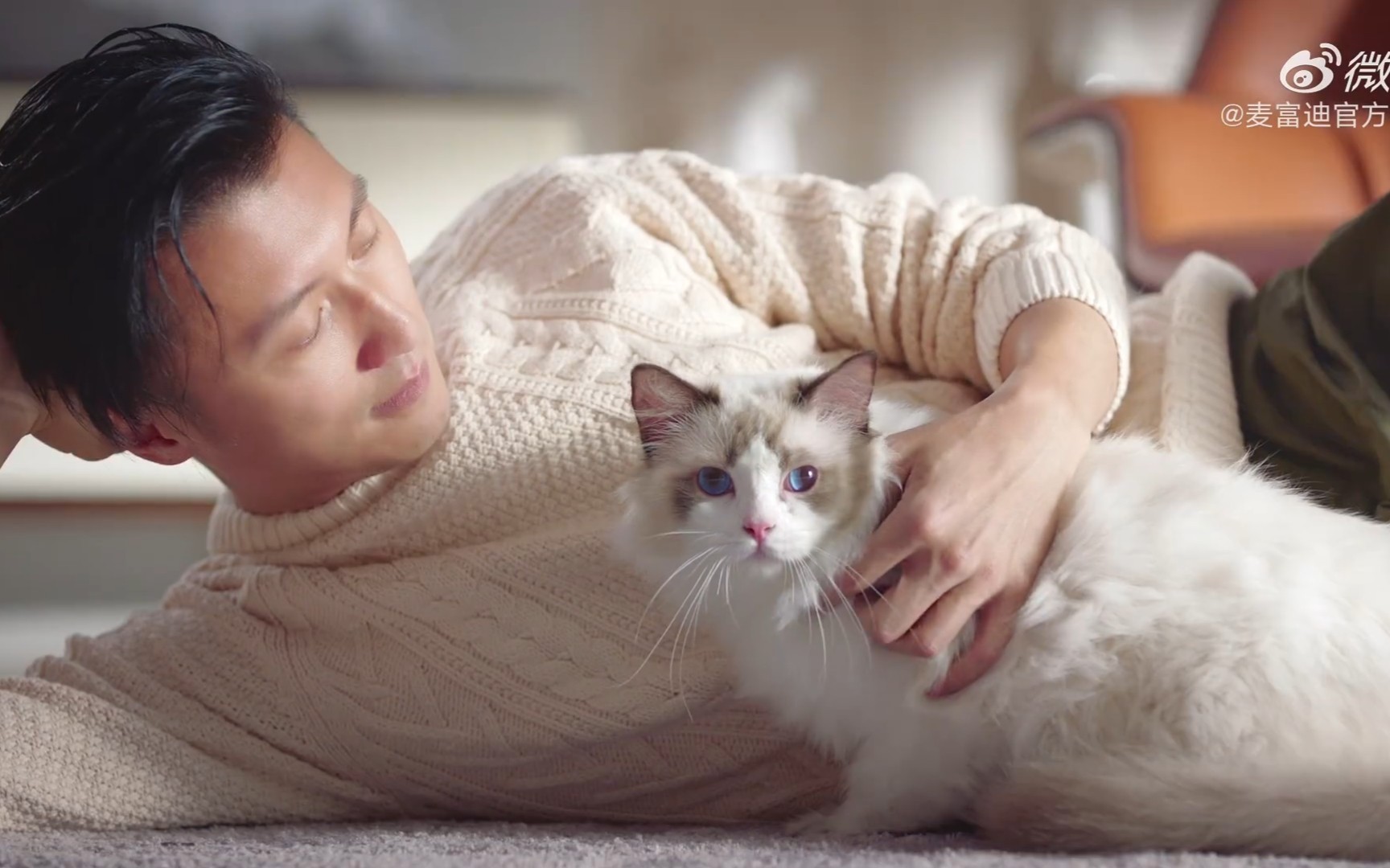 谢霆锋广告我还不如霆锋的一只猫万万没想到霆锋代言了猫粮和狗粮曾经