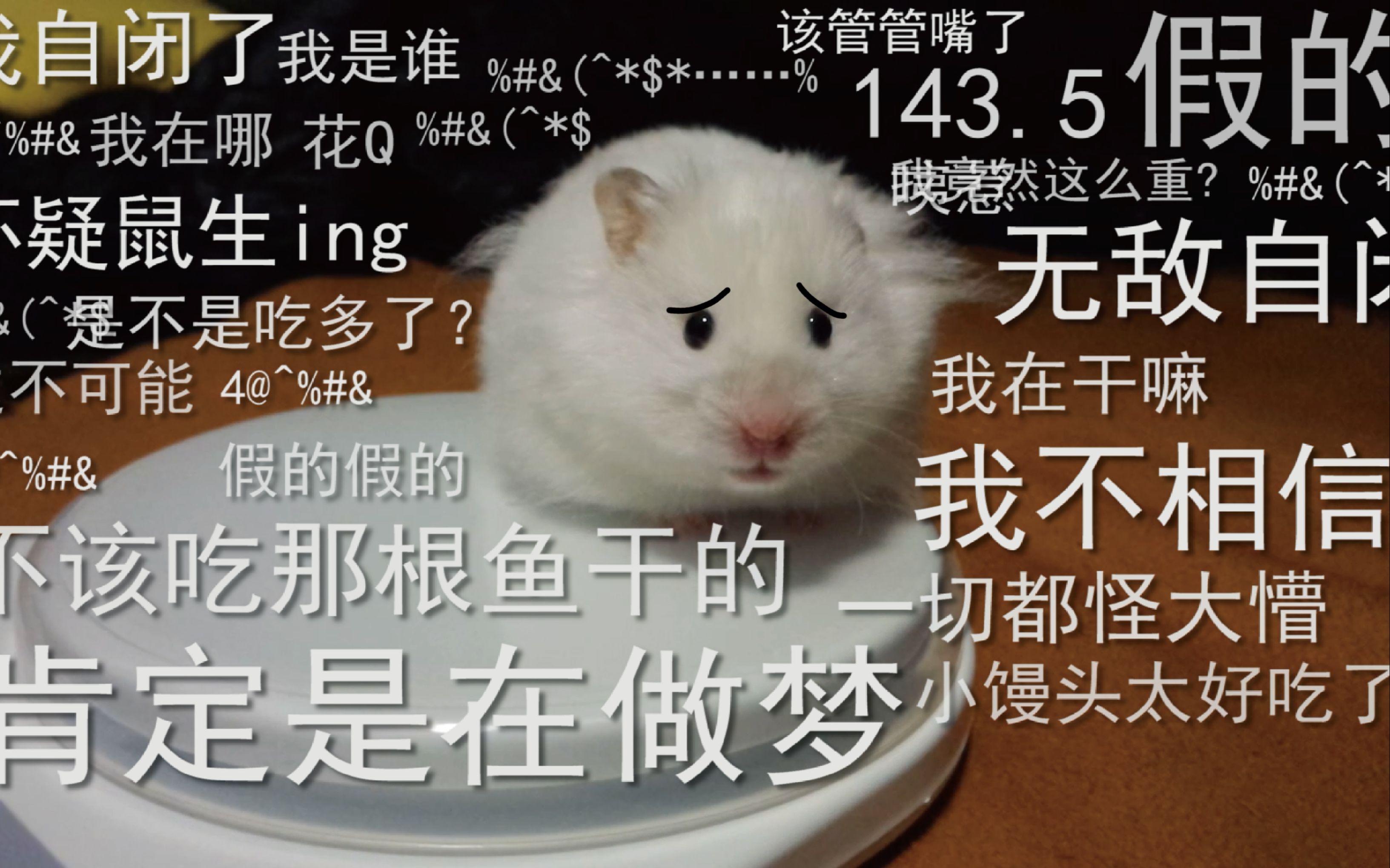 当你知道自己是140斤的死肥宅的时候,顿时语塞!【仓鼠】