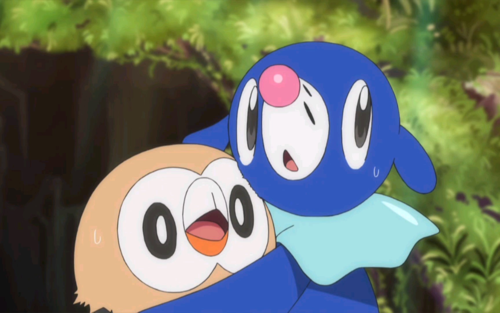 球球海狮是个懂礼貌的宝可梦「16话-2」_哔哩哔哩_bilibili