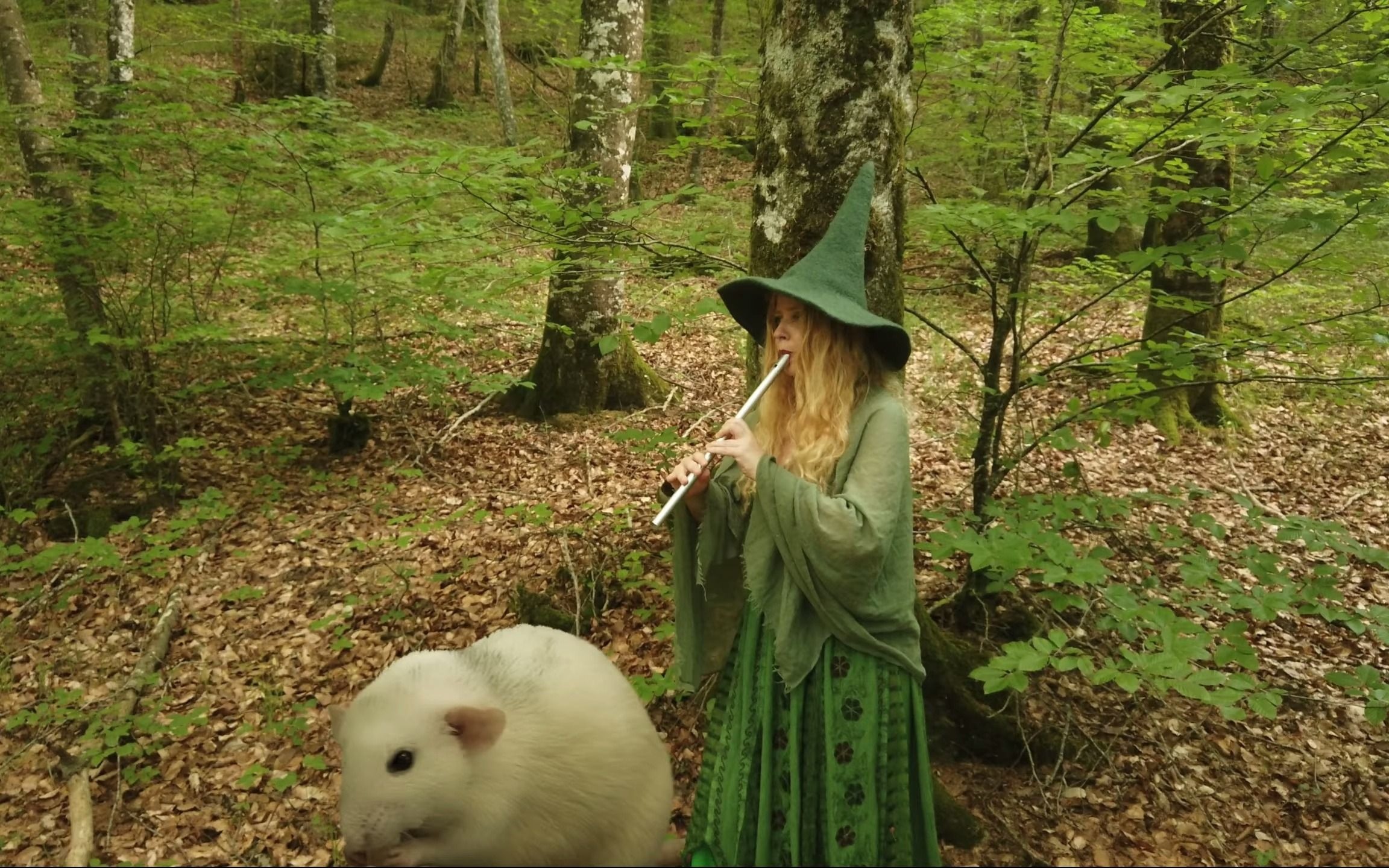 [priscilla hernandez] shimmering new leaves