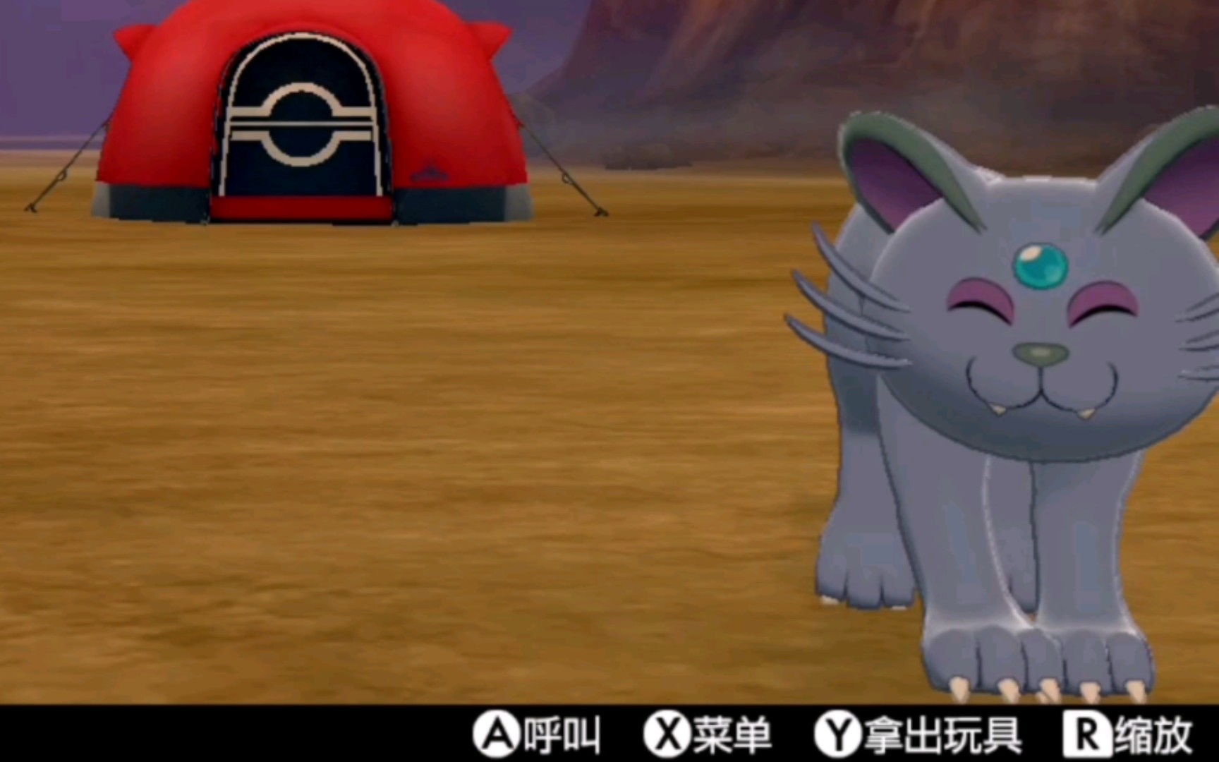 闪光阿罗拉猫老大,我被迫放弃的猫猫回来啦