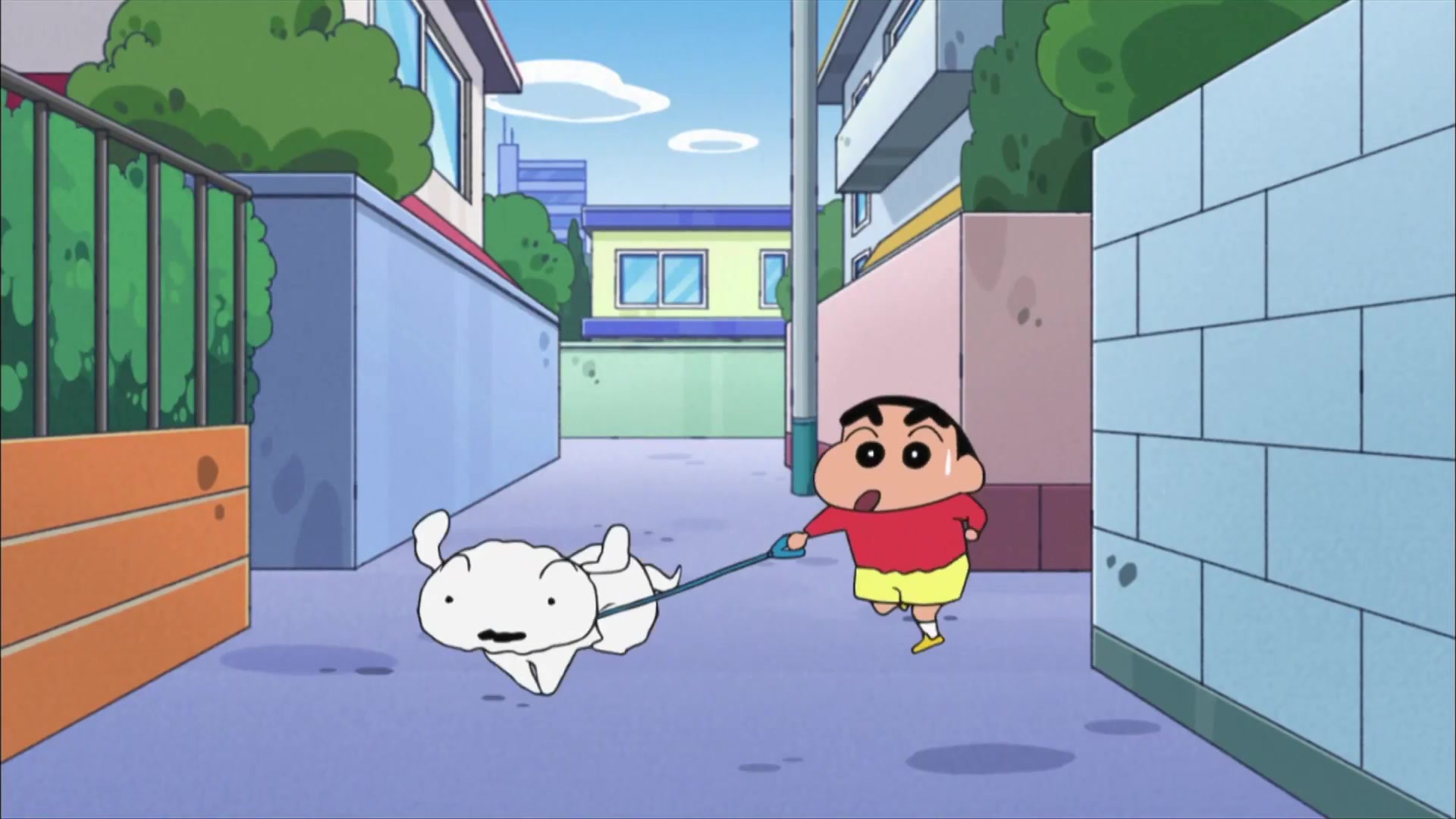 蜡笔小新第七季 台配 014 小白的散步好朋友